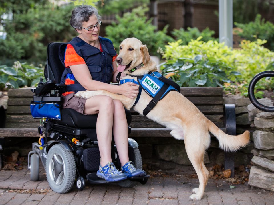 By following these service dogs do’s and don’ts, you will be able to interact appropriately with service dog teams in public.