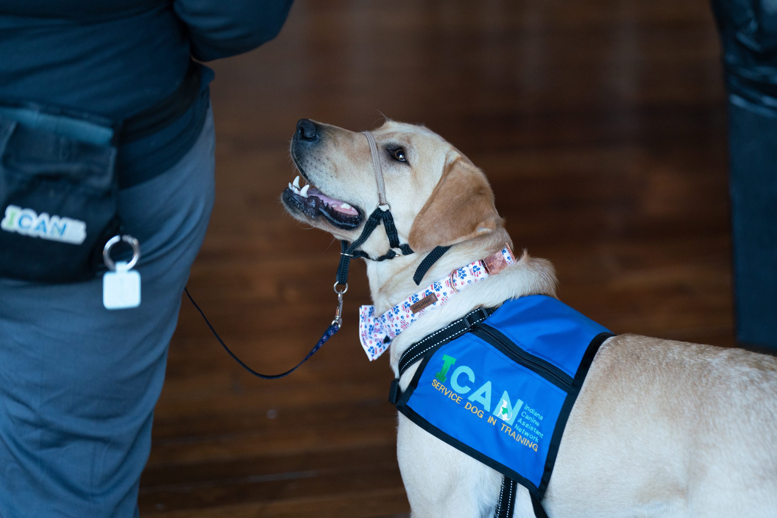 Service Dog Eligibility | ICAN